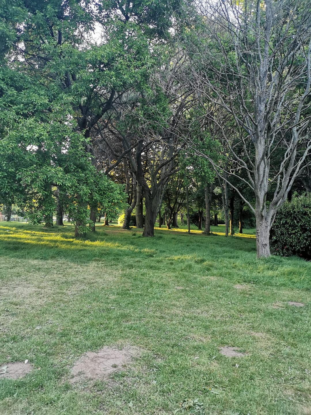 Oldbury Court Estate - image 3