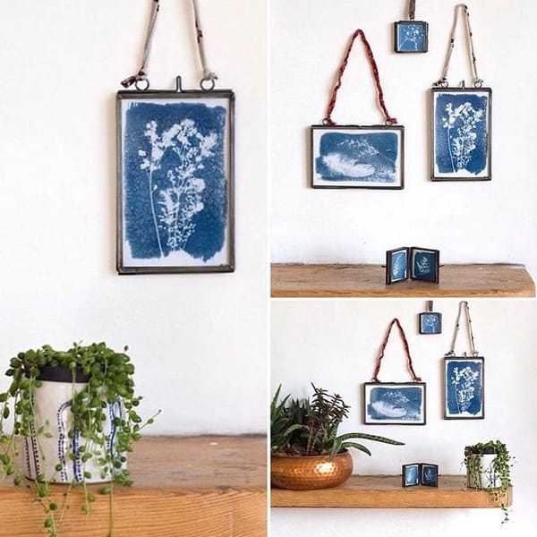 Cyanotype Prints