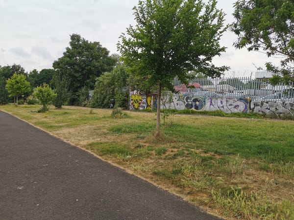 Peel Street Green Space