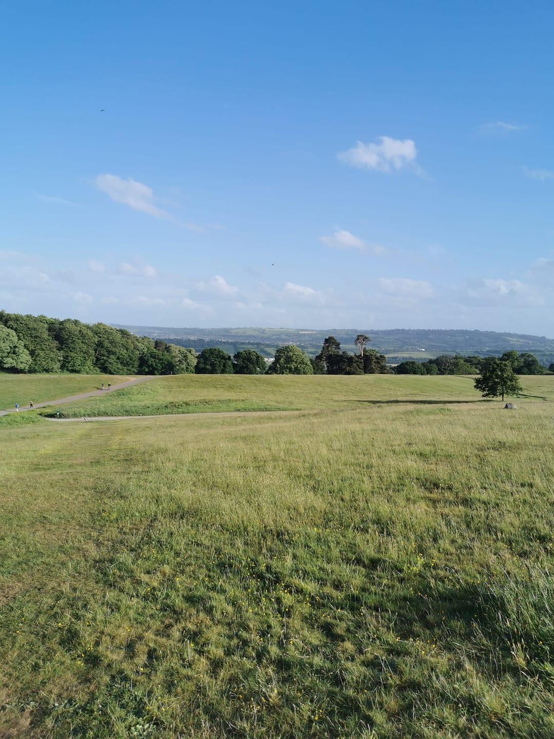 Ashton Court - image 1