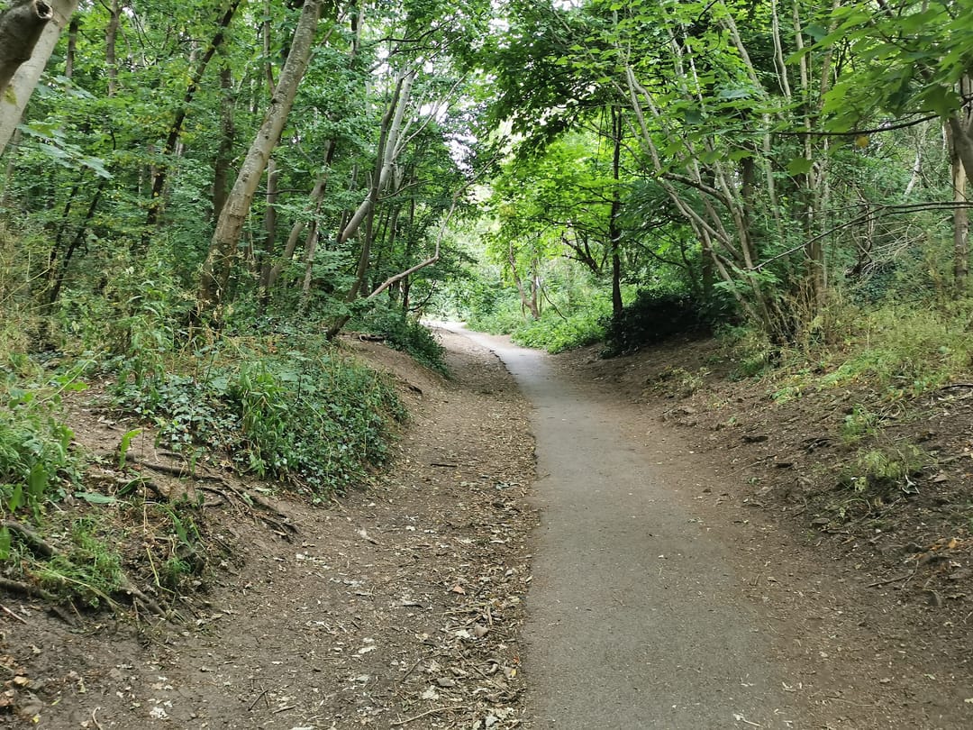 Badocks Wood - image 2