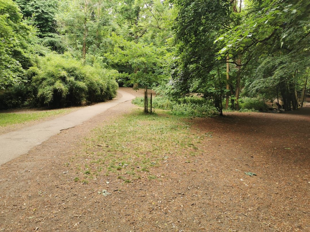 Badocks Wood - image 2