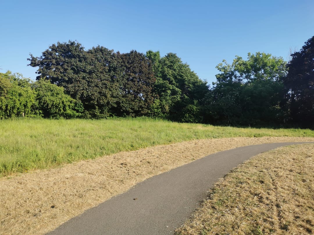 Crow Lane Open Space and Playground - image 3