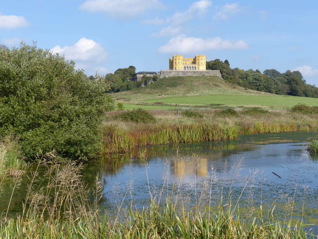 Stoke Park - image 1
