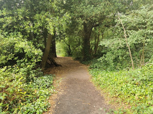 Bishop knoll