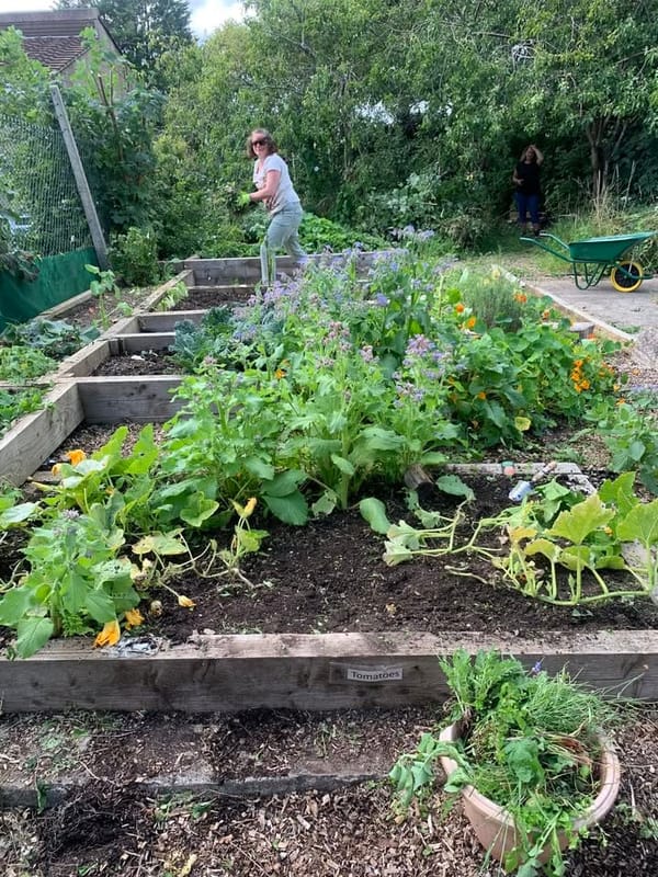 Buzz Community Garden Sessions