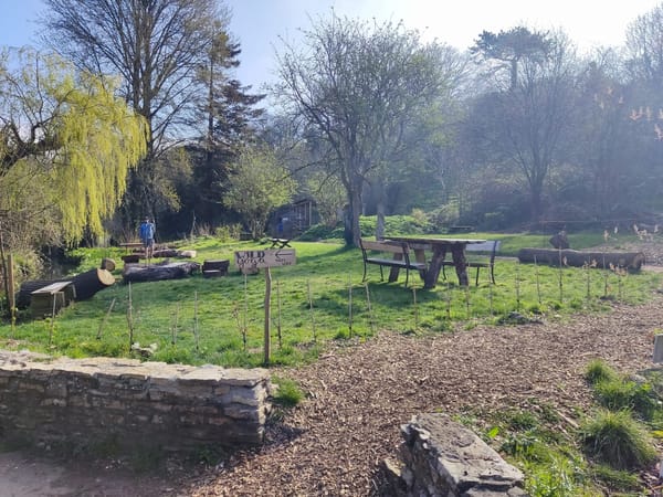BioBlitz at Westbury Wildlife Park