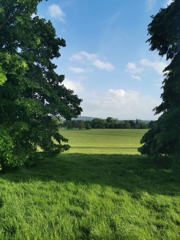 Ashton Court