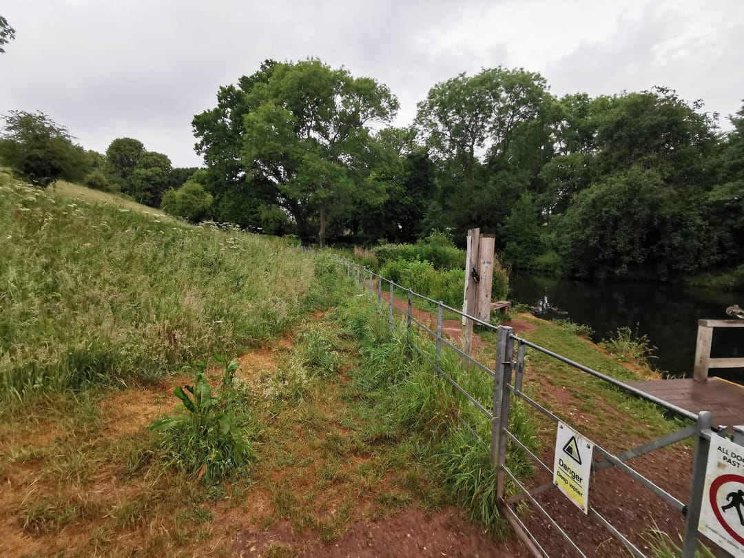 Old Sneed Nature Reserve - image 1