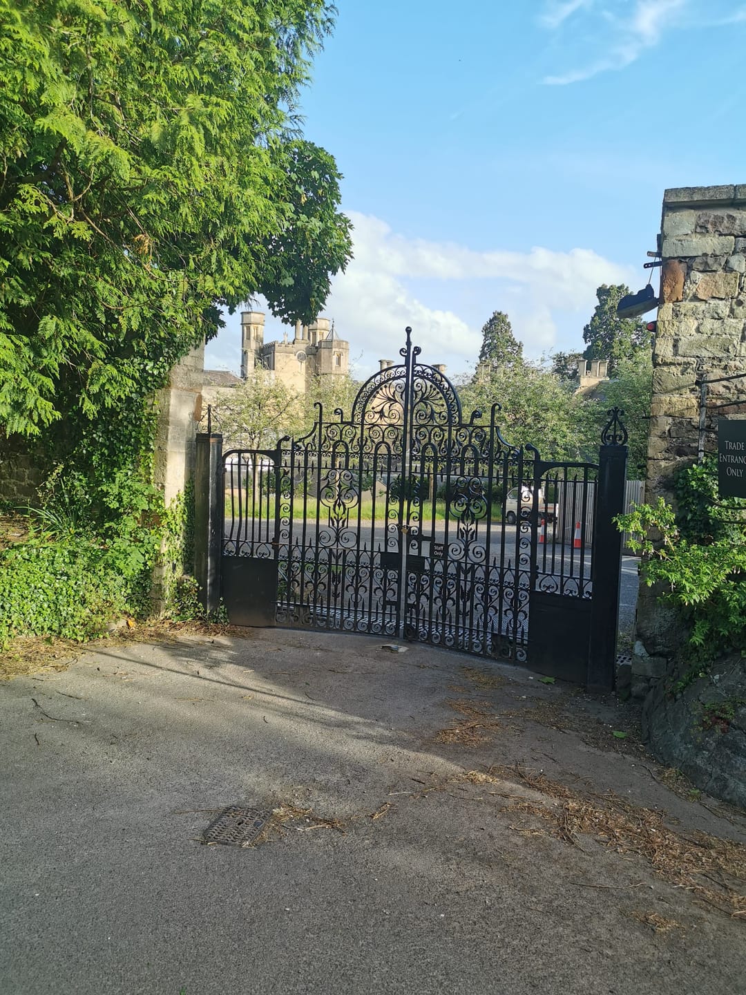 Ashton Court - image 2