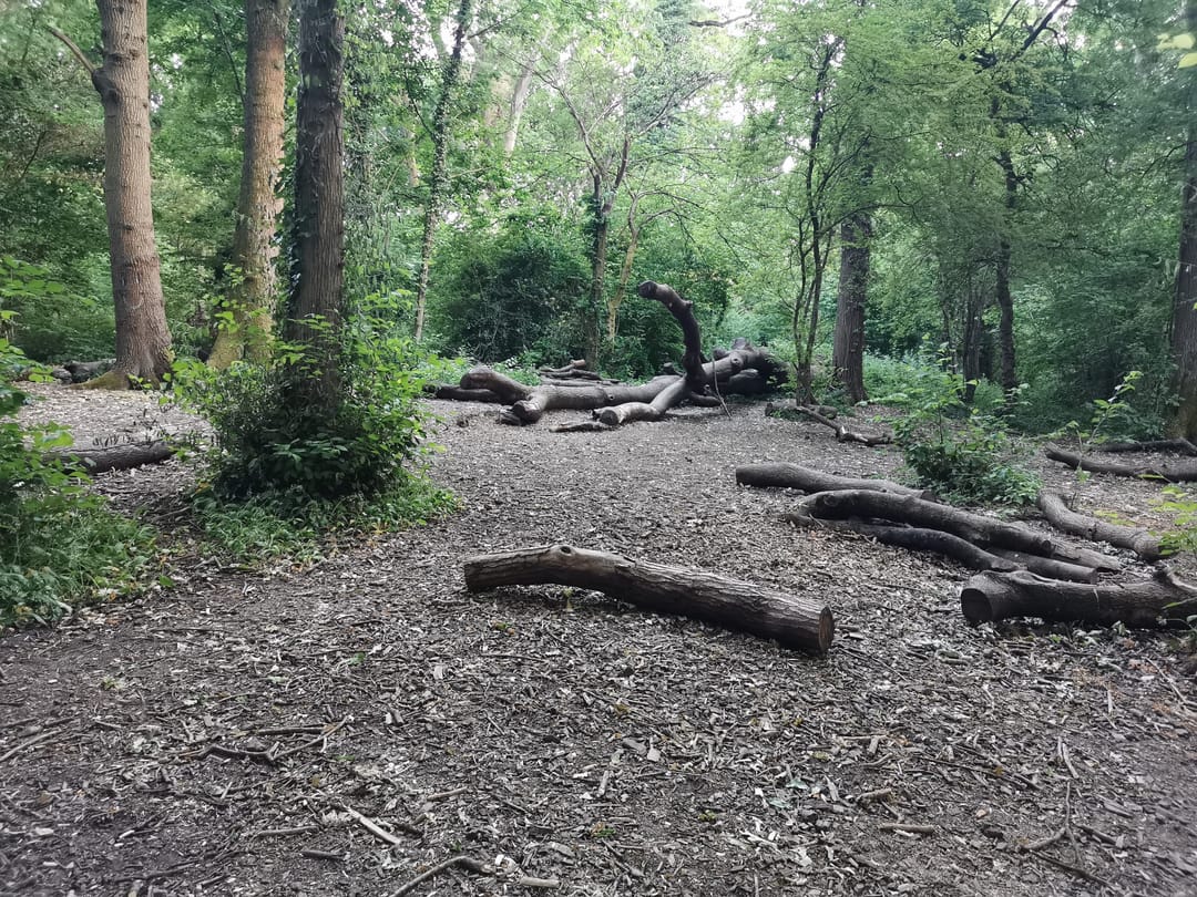 Three Brooks Nature Reserve - image 2