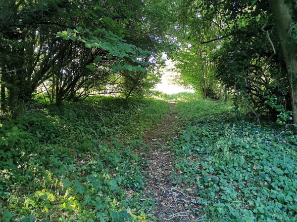 Shirehampton Park