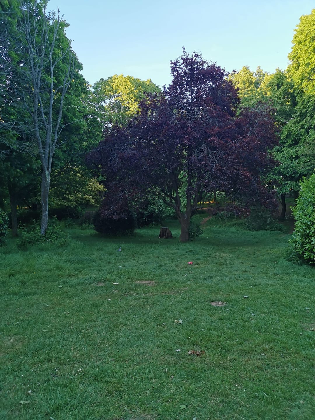 Oldbury Court Estate - image 2