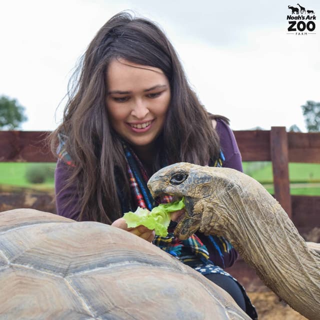 Noah's Ark Zoo Farm