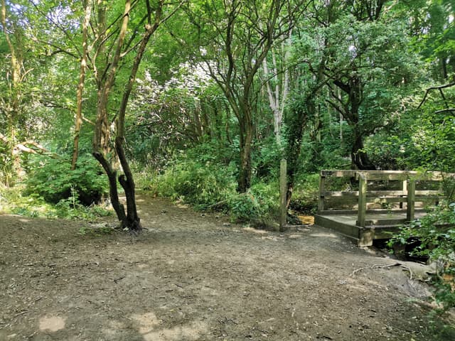 Coombe Brooke Nature Reserve
