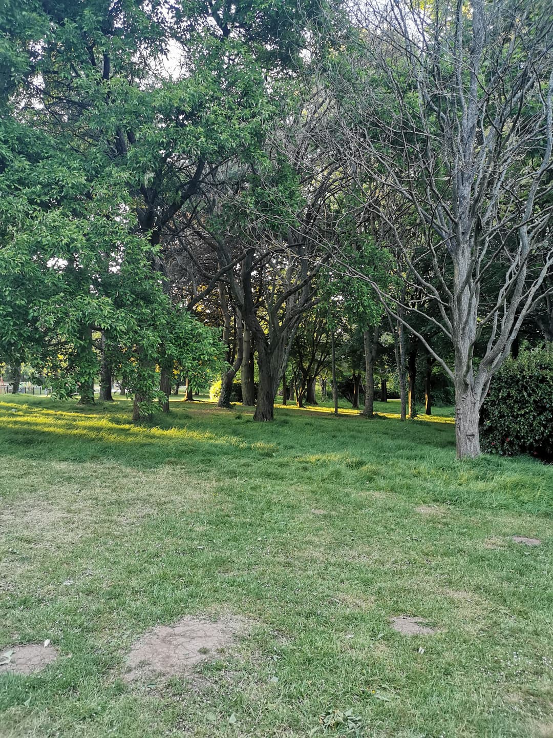 Oldbury Court Estate - image 3