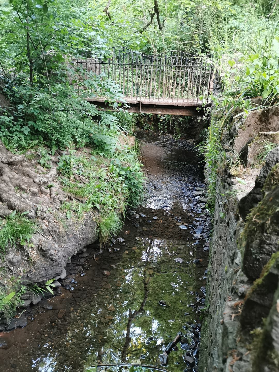 Oldbury Court Estate - image 3