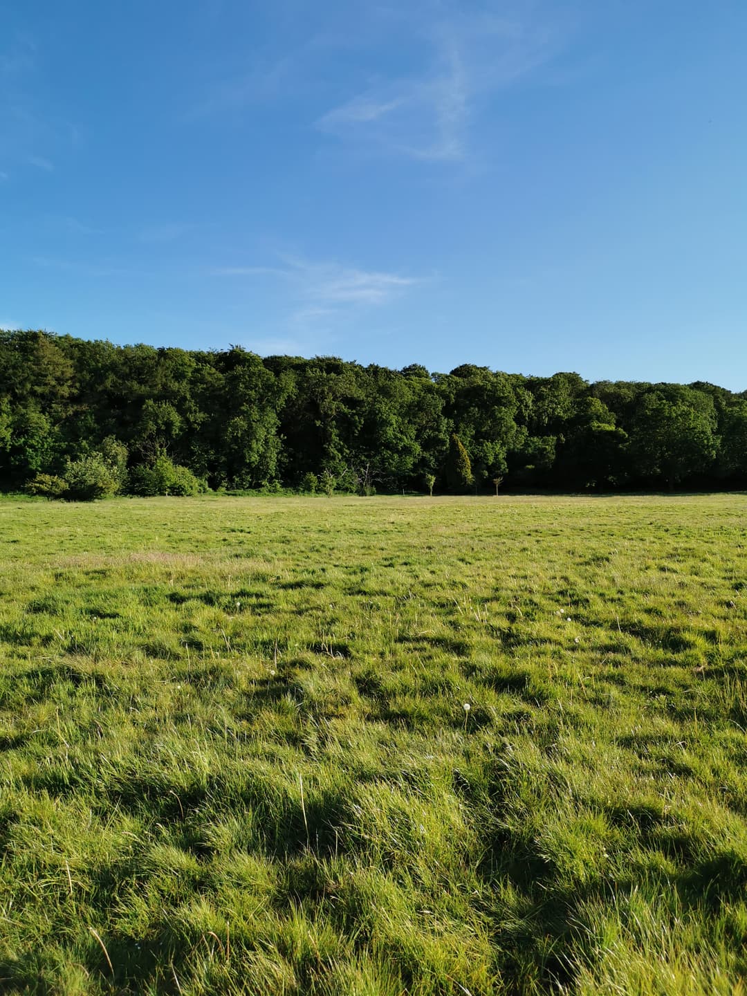 Blaise Castle Estate - image 4