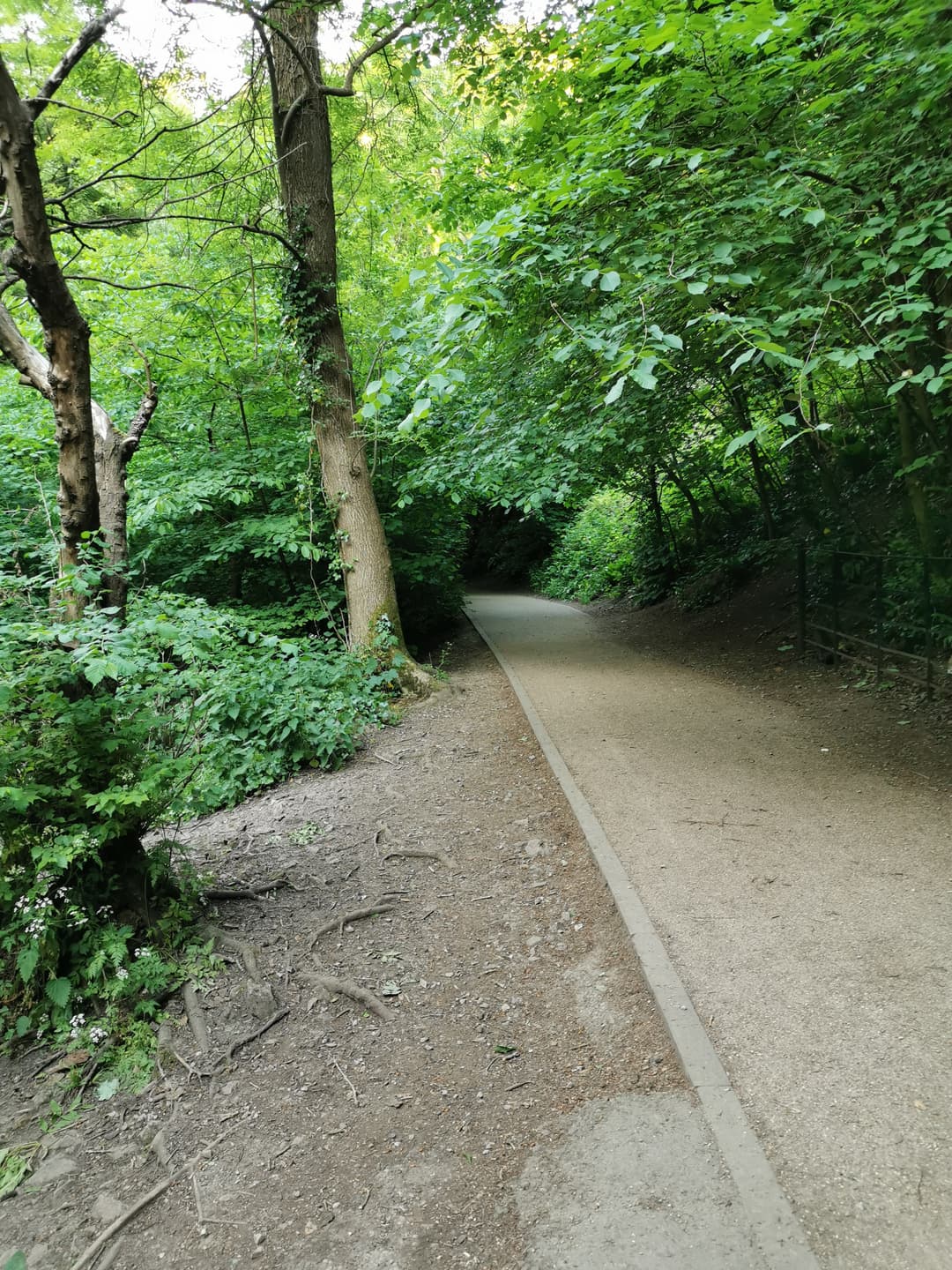 Blaise Castle Estate - image 4