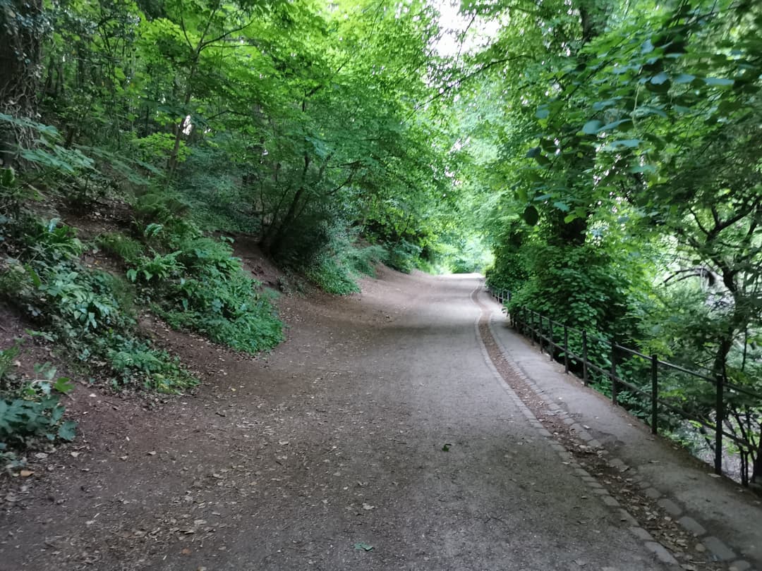 Blaise Castle Estate - image 2