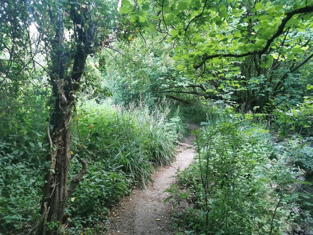 Three Brooks Nature Reserve