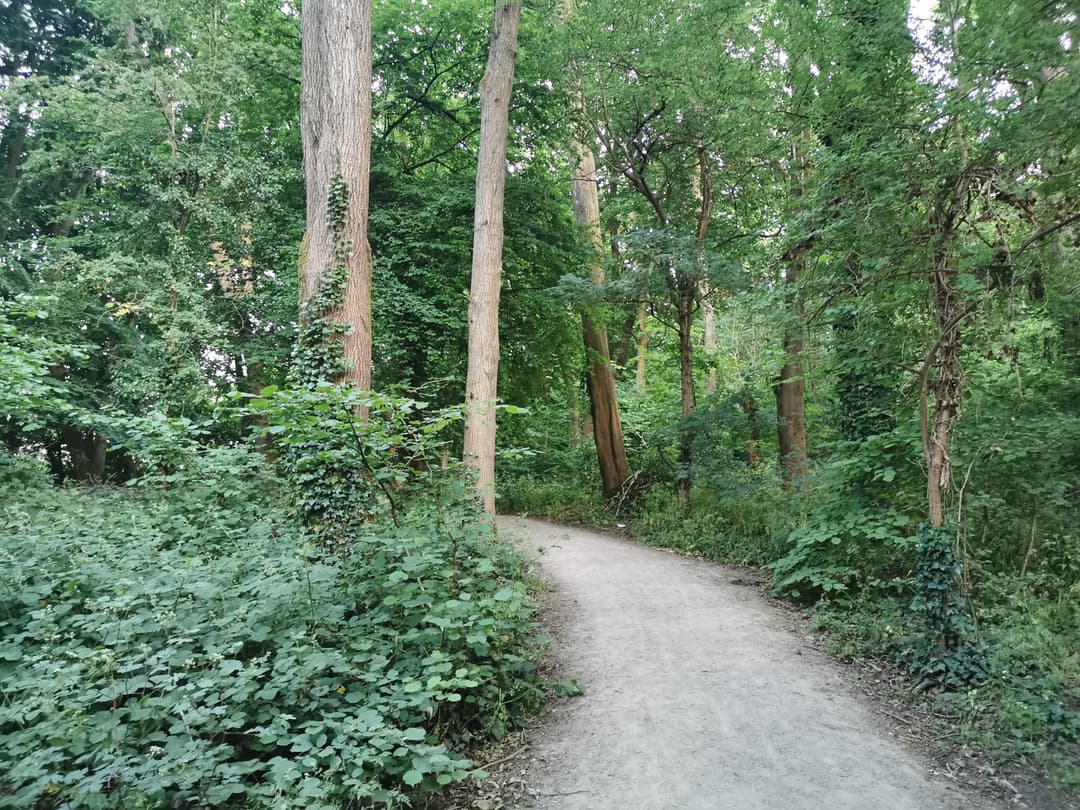 Three Brooks Nature Reserve - image 1