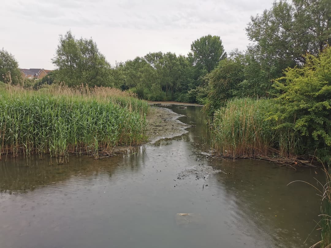 Three Brooks Nature Reserve - image 1