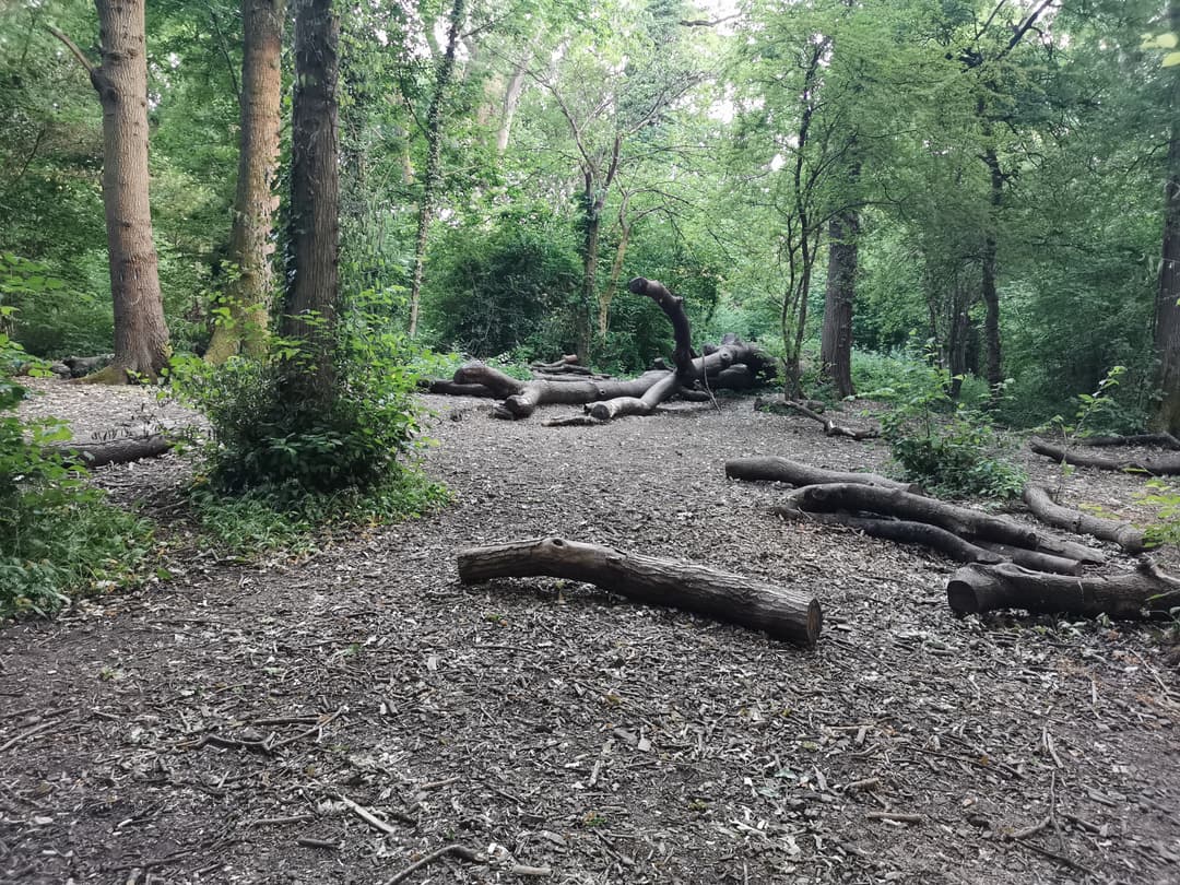 Three Brooks Nature Reserve - image 2