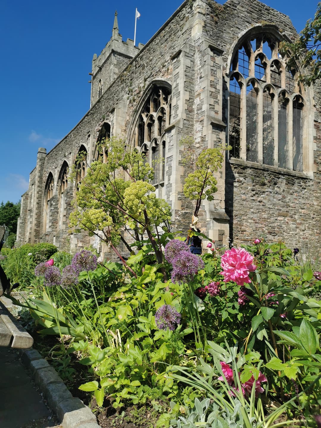 Castle Park - image 1