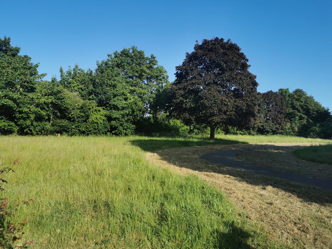 Crow Lane Open Space and Playground - image 1