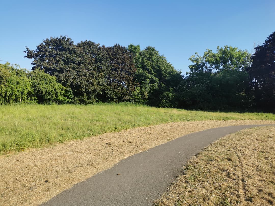 Crow Lane Open Space and Playground - image 3