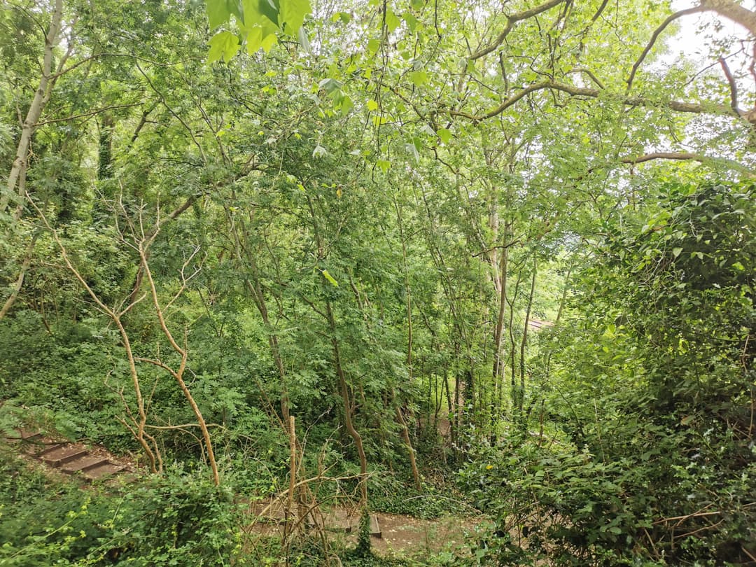 Bishop knoll - image 2