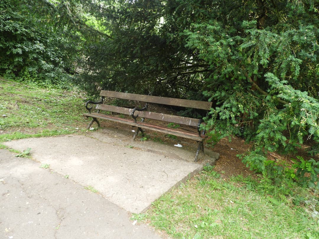 Brandon Hill Nature Reserve - image 1