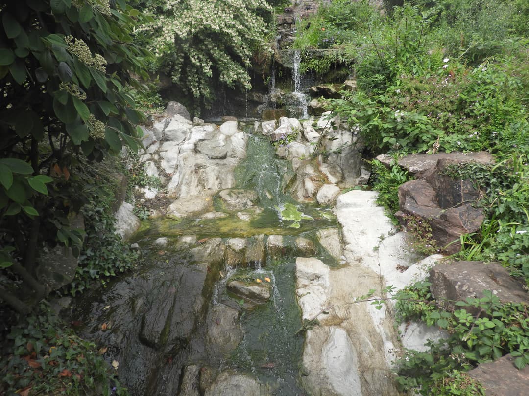 Brandon Hill Nature Reserve - image 2