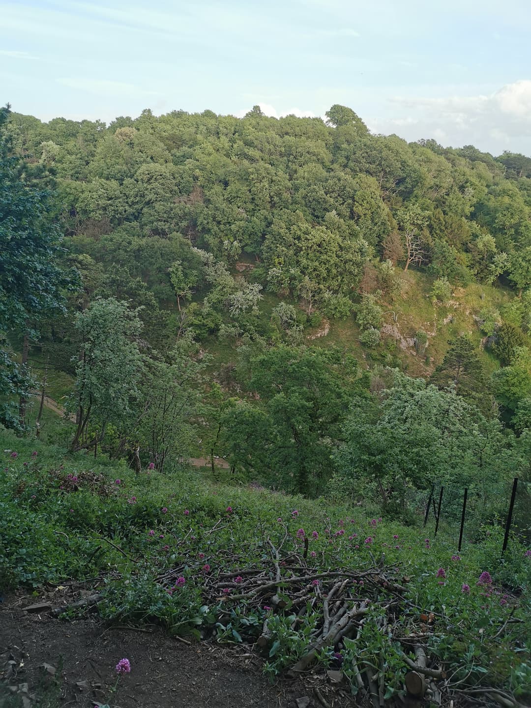 Clifton and Durdham downs - image 2