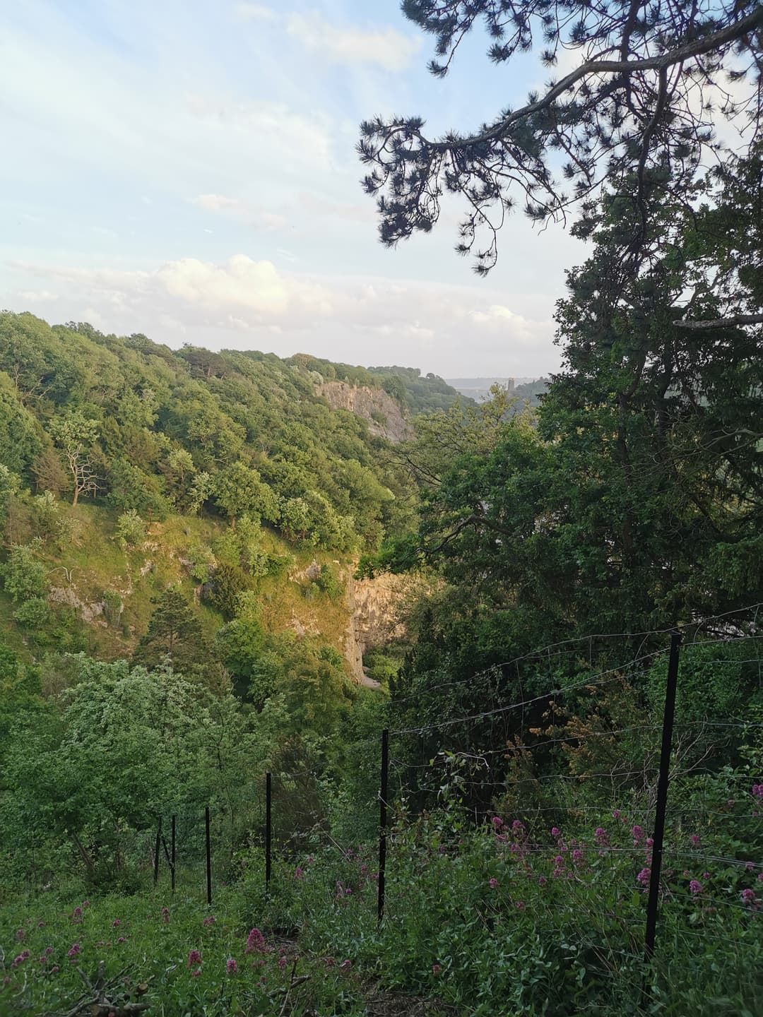 Clifton and Durdham downs - image 1