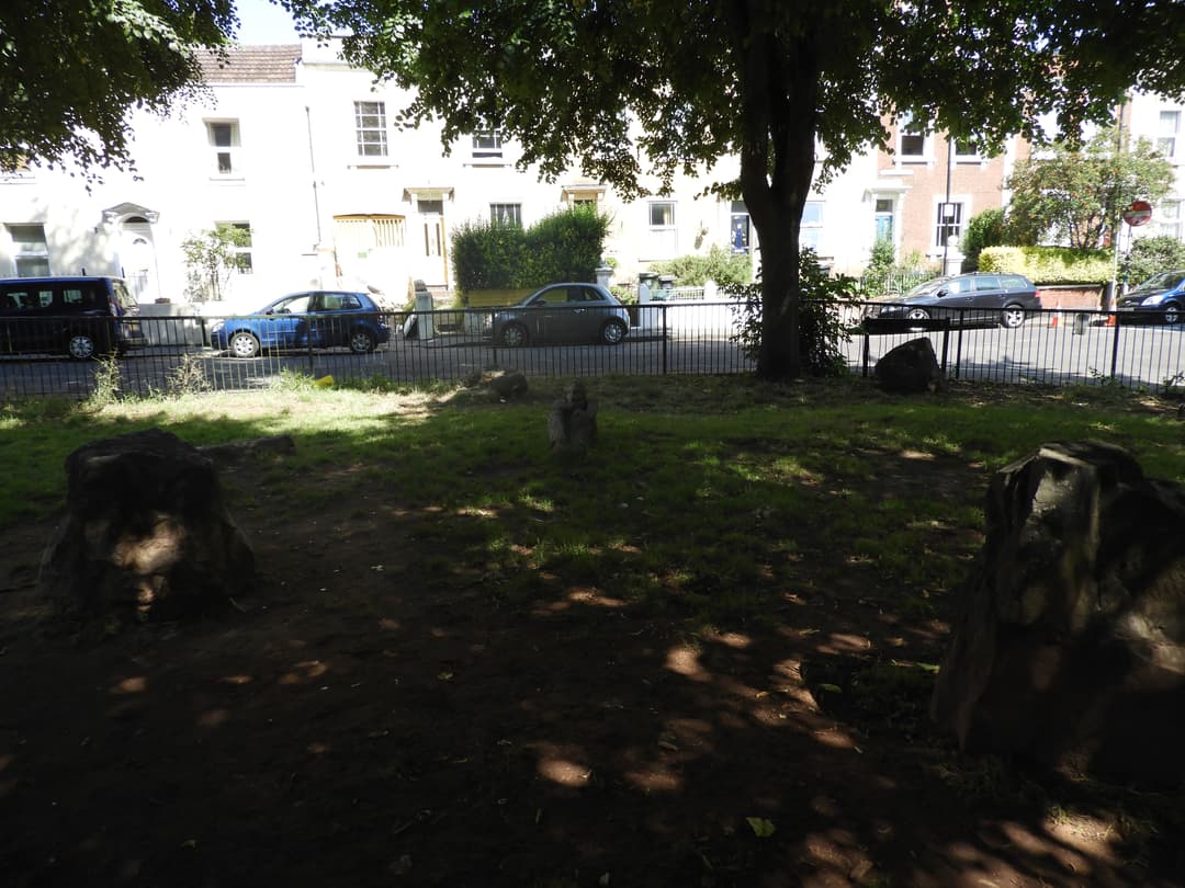 Albany Green - image 1