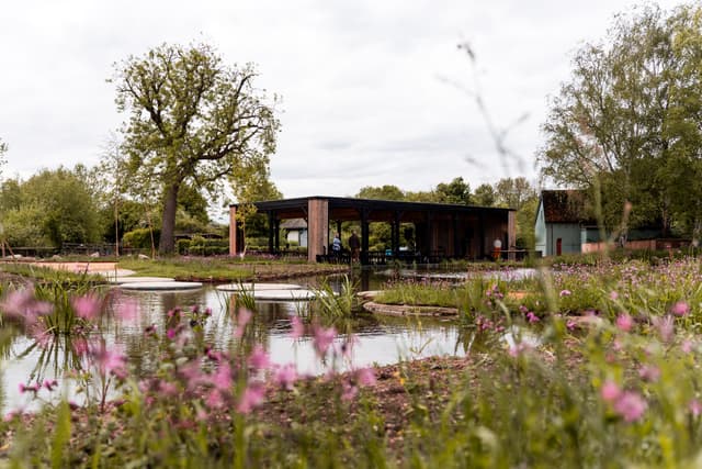 Waterside Yoga - WWT Slimbridge